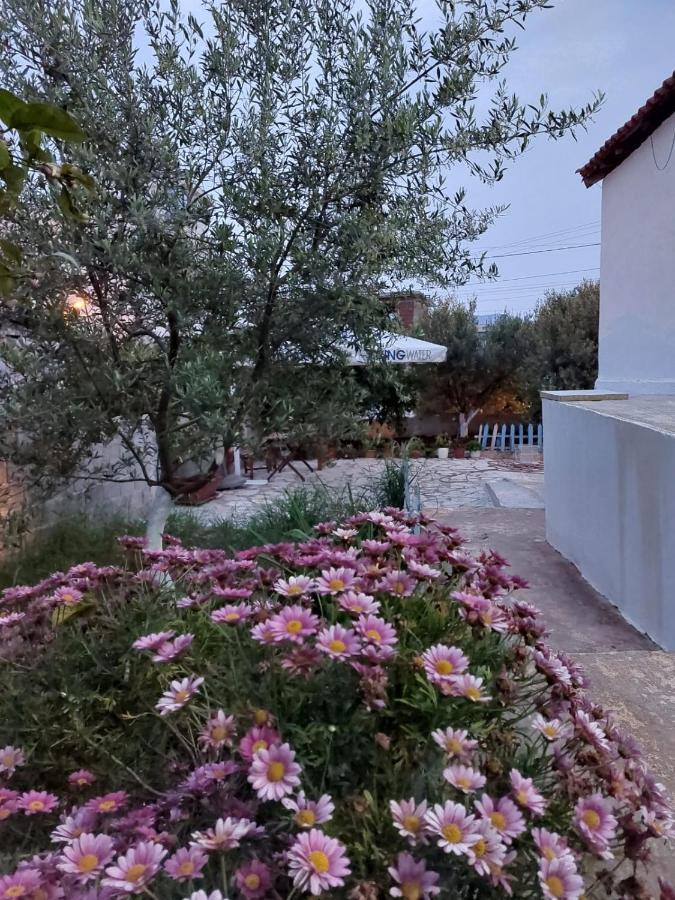 Vila Rafael Ksamil Esterno foto