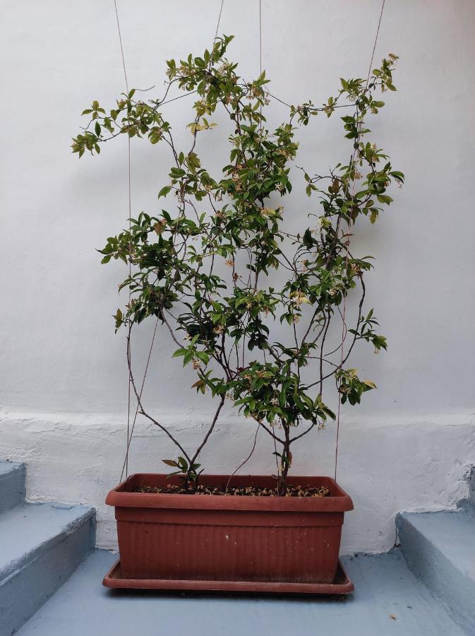 Vila Rafael Ksamil Esterno foto